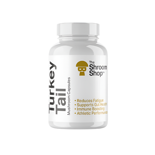 Turkey Tail Mushroom Capsules