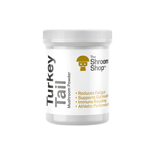 Turkey Tail Mushroom Powder